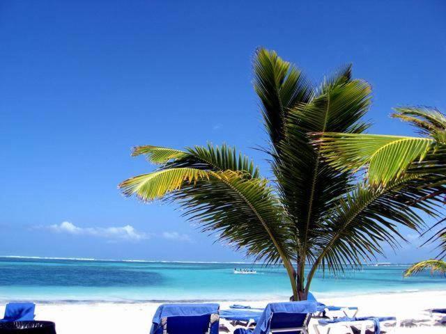 Larimar Beach Punta Cana Exterior photo